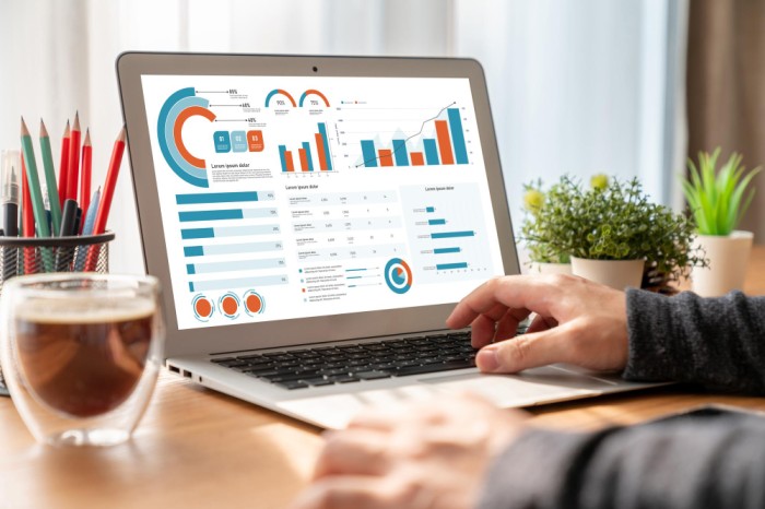 Custom analytics dashboard with utilization, idle time, and upcoming renewals.