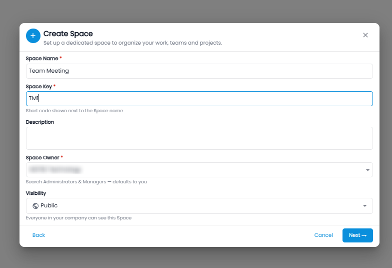 Create Space step 2 with space name, space key, description, space owner, and visibility